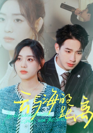 云与海的距离（34集）观看软件