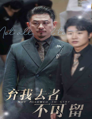 生命它璀璨如歌（60集）无需会员轻松看