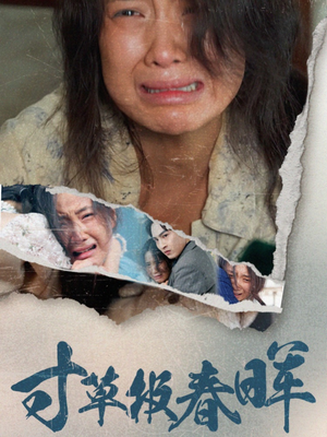 寸草报春晖（65集）视频在线看