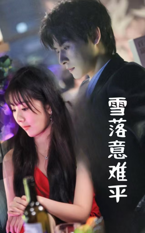 雪落意难平（35集）短剧精彩绝伦
