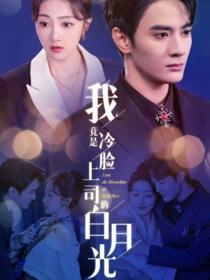 我竟是冷脸上司的白月光（80集）最热短剧推荐
