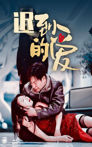 迟到的爱（35集）最新热剧免费看