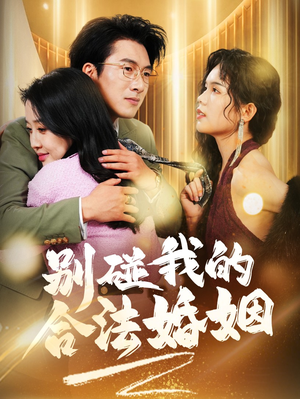 别碰我的合法婚姻（30集）独家资源免费看
