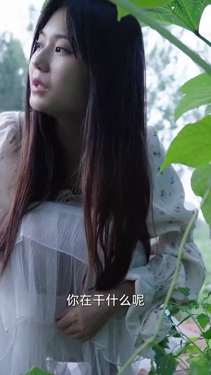 小院时光（100集）每天短剧分享