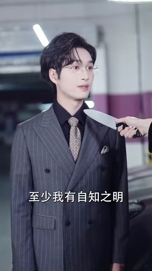 正好遇见爱（80集）在线看免费版