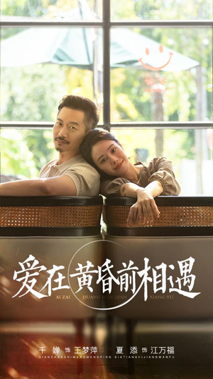 爱在黄昏前相遇（65集）好看上头的短剧