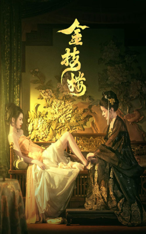 金枝楼（52集）太好看了短剧