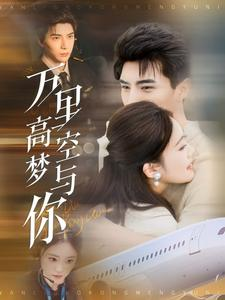 万里高空梦与你（99集）短剧在哪个平台