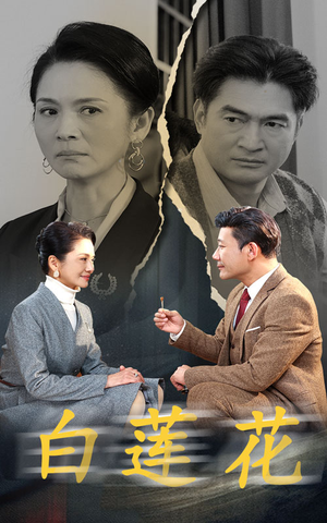 白莲花（40集）女主角是谁