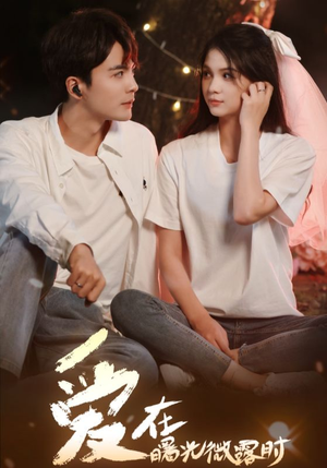 爱在曙光微露时（49集）短剧在线观看