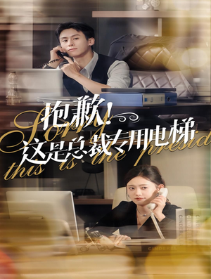 抱歉！这是总裁专用电梯（60集）真的太好看了