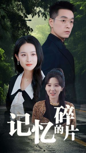 记忆的碎片（50集）精彩连连免费看