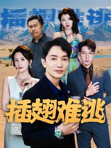 插翅难逃（43集）短剧分享剧集