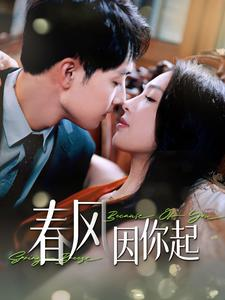 春风因你起（95集）热门爆款短剧