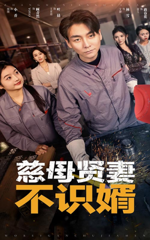 慈母贤妻不识婿（45集）免费看短剧