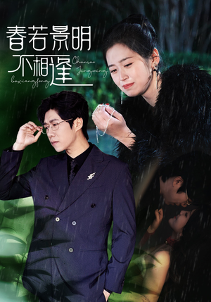 春若景明不相逢（50集）每天分享短剧