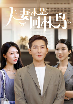 夫妻本是同林鸟（76集）好看的国产短剧