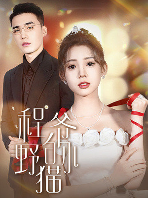 程爷的小野猫（40集）最近很火的短剧