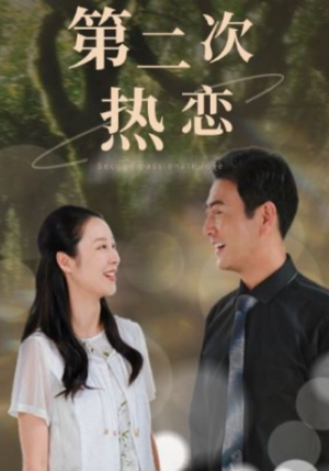第二次热恋（48集）短剧推荐更新中