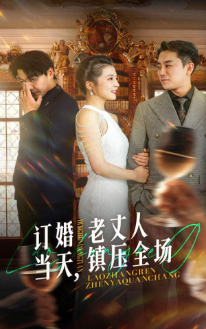 订婚当天，老丈人镇压全场（29集）番茄短剧免费看