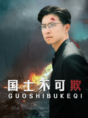 国士不可欺（79集）哪个短剧网能看