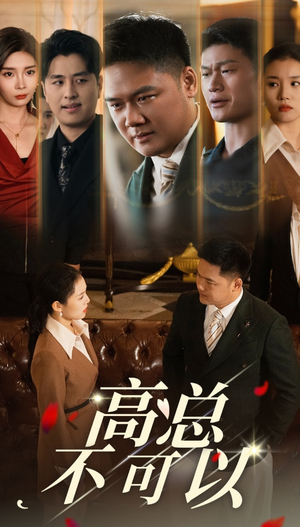 高总不可以（45集）在线观看
