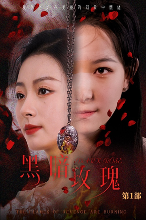 黑暗玫瑰（84集）演员表