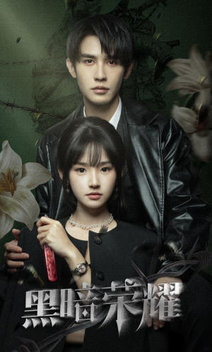 黑暗荣耀（66集）高分佳作免费看