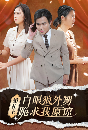 婚礼上白眼狼外甥跪求我原谅（35集）海量短剧免费看