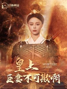 皇上臣妻不可欺啊（88集）评价怎么样