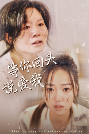 等你回头说爱我（87集）红果短剧看全集