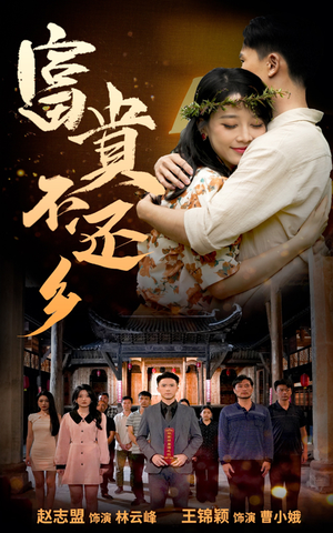 富贵不还乡（76集）排行榜前十短剧