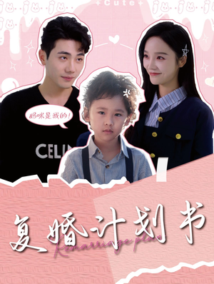 复婚计划书（96集）直接看到大结局
