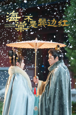 人生若只如初见（30集）精彩短剧分享