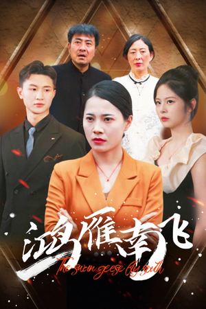 鸿雁南飞（64集）好看短剧抢先看