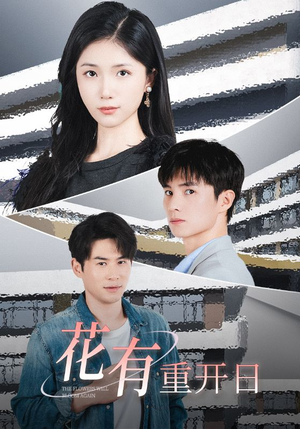 花有重开日（41集）精彩短剧天天看