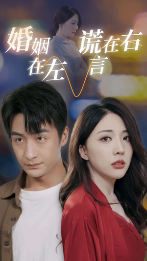 婚姻在左谎言在右（79集）海量资源免费看