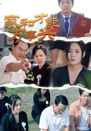 家和才能万事兴（30集）好看又上头短剧