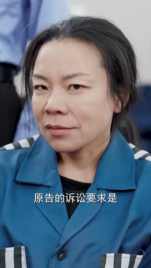 将人贩子送上法庭（30集）好看到停不下来