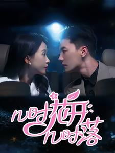 几时花开几时落（66集）网络小短剧