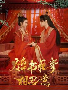 锦书难寄相思意（97集）短剧前十排行榜