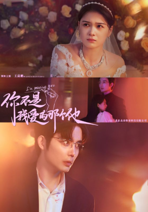 你不是我爱的那个他（54集）短剧追到爽