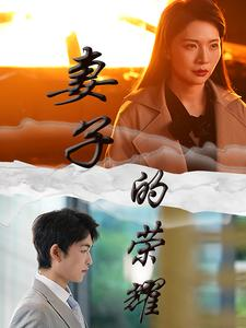 妻子的荣耀（40集）最后一集