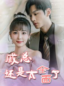 戚总今天追到夫人了么（57集）看到了大结局