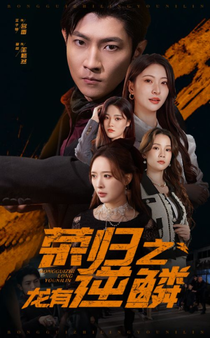 荣归之龙有逆鳞（53集）零花钱看整部剧