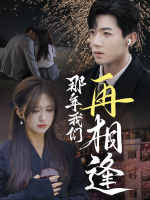 那年我们再相逢（65集）原创精彩短剧