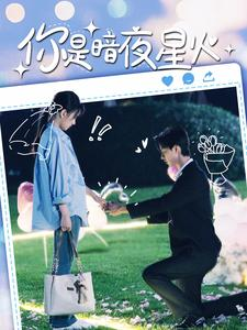 你是暗夜星火（120集）熬夜追短剧