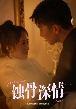 蚀骨深情（54集）演员表