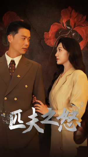 匹夫之怒（48集）在线免费观看