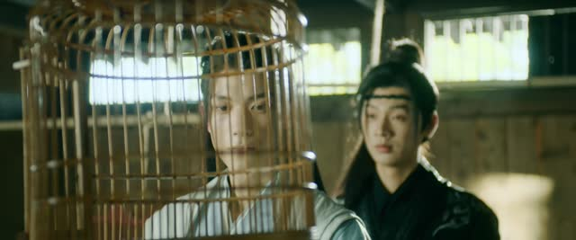 双花镜（20集）红果短剧免费看